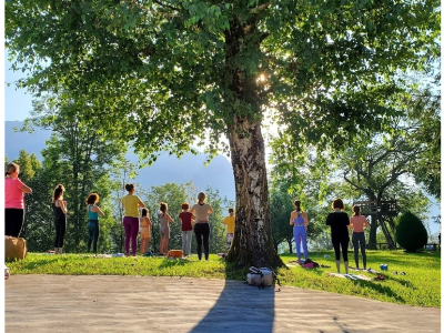 FOTO ALBERO